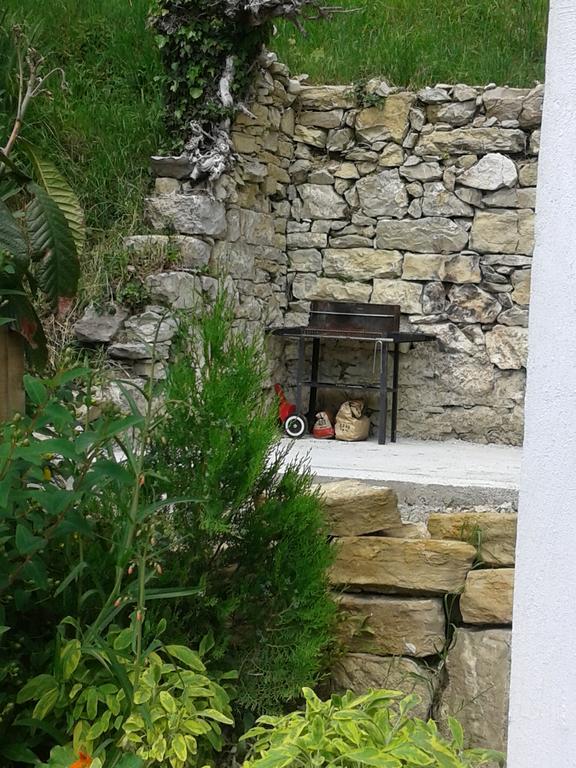 Apartment Bella Vista 2 Buzet Dış mekan fotoğraf